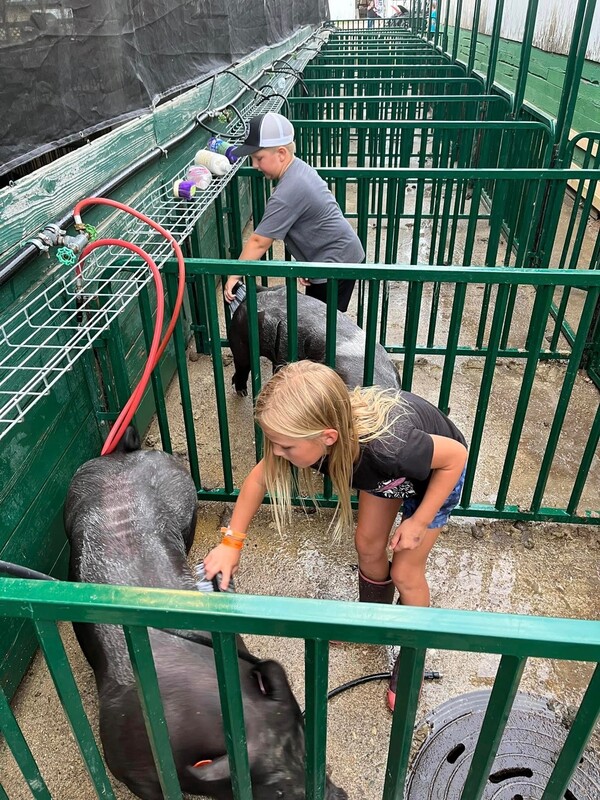 Livingston County 4H Clubs Big Part Of Fowlerville Family Fair