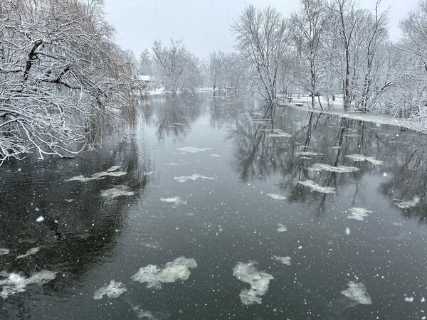 Hamburg Twp Residents Watch Huron River Rise Into Backyards