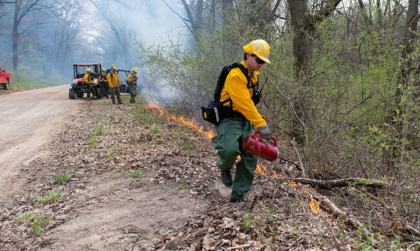 DNR Prescribed Burn in Dexter Twp