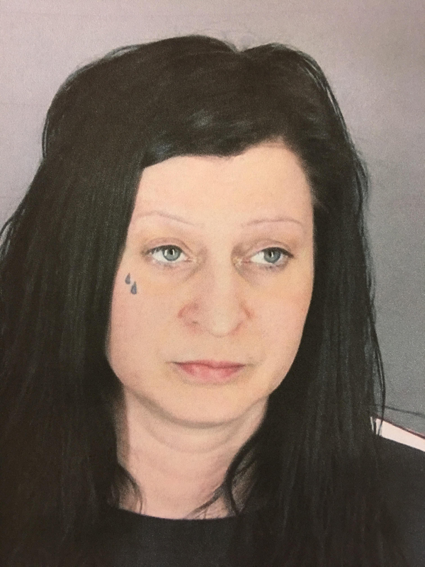 South Lyon Woman Enters Plea To Charges Of Attacking Officers