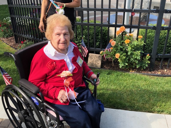 Rosie The Riveter Rosebushes Dedicated At Brighton Veterans Memorial