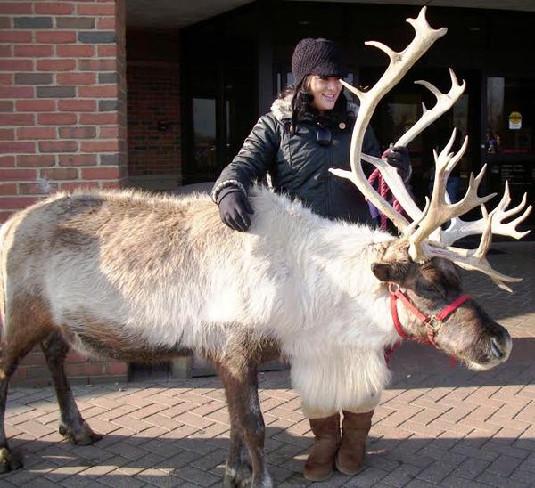 Santa and His Reindeer Coming to Brighton Library