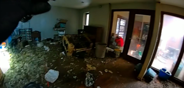 Shelter Overcrowding Prompts Emergency Pop-Up Dog Adoption Event