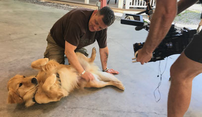 Local Non-Profit To Host Film Screening On Impact of Service Dogs