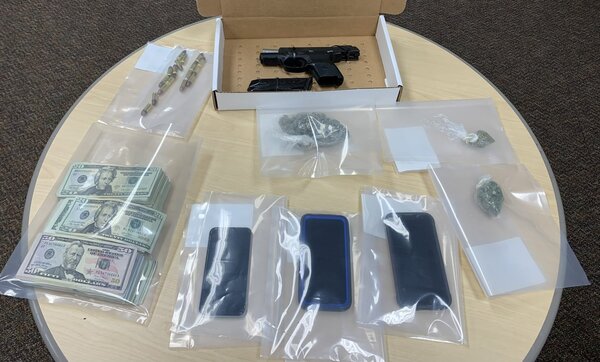 Traffic Stop In Genoa Township Turns Up Pot, Cash & Gun