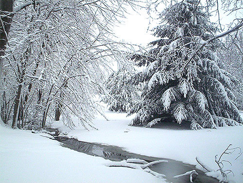 Lawmaker Announces Winter Photo Contest