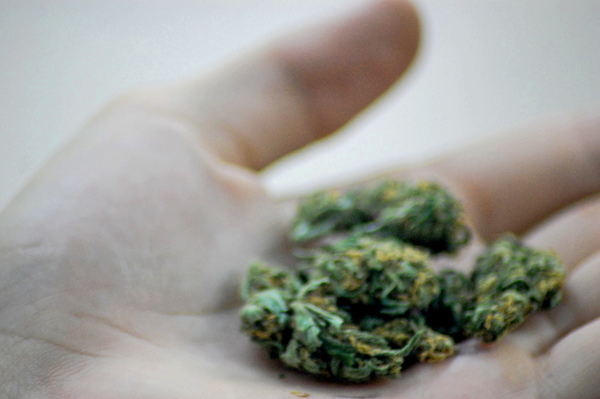 County Board Won't Take Up Resolution Opposing Marijuana Legalization