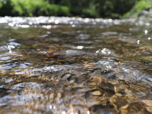 Preliminary Results Detect No Presence Of Chemical In Huron River