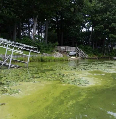 Local Health Department Participating In Algal Bloom Testing