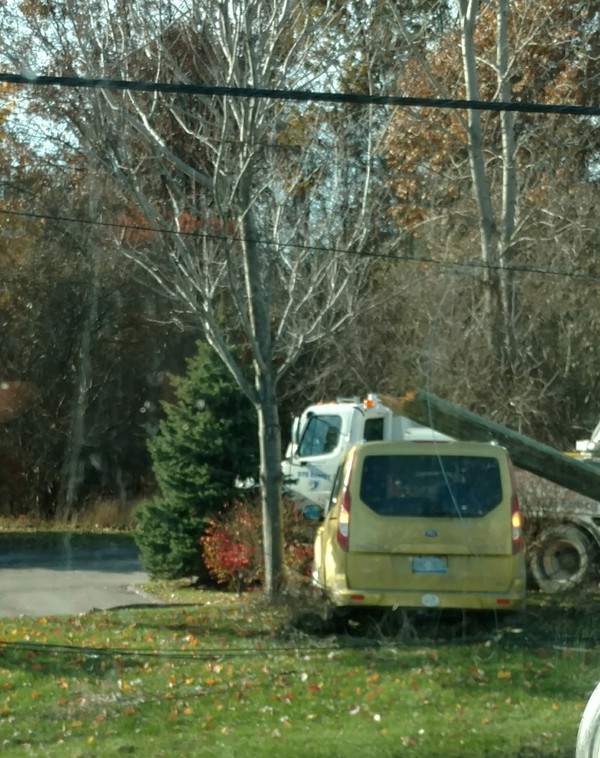 Pinckney Woman Crashes Into Power Pole On Grand River