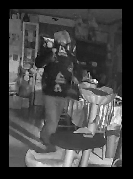 Green Oak Twp Police Seek Information Pertaining to Break-in Suspect