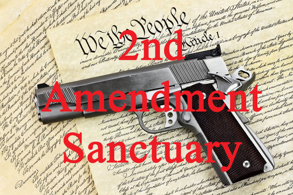 Livingston Becomes "Second Amendment Sanctuary County"