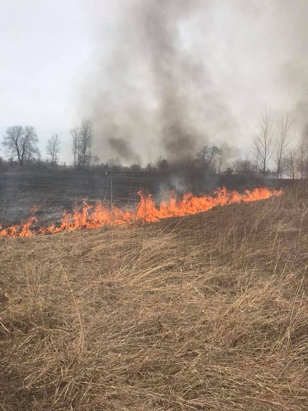 Prescribed Burn Conducted At Lyon Oaks County Park