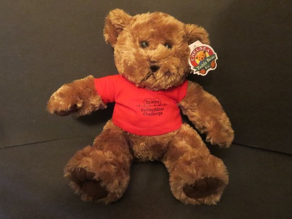 Sheriff's Office Gifted Comfort Teddy Bears For Child-Involved Cases