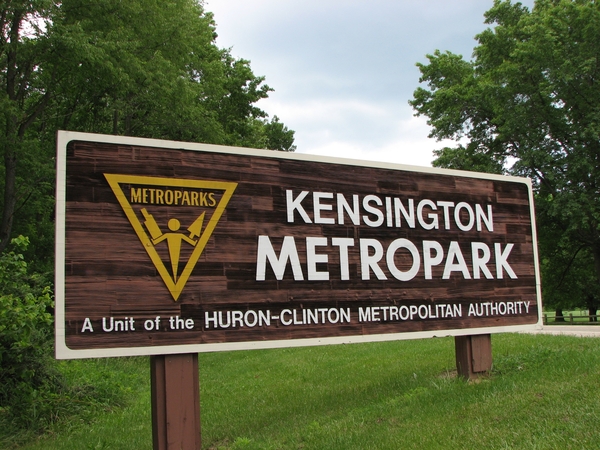 Deer Culls To Resume At Kensington