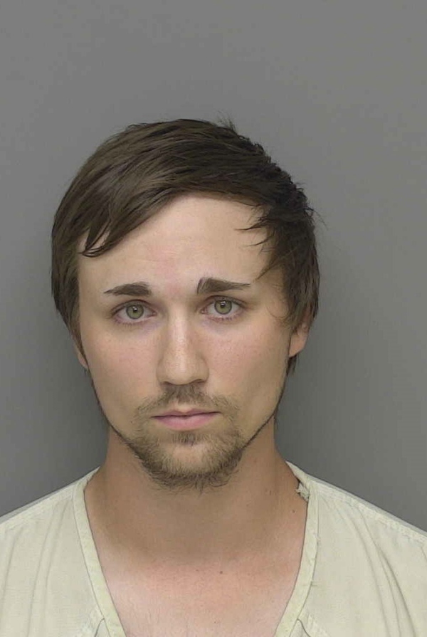 Pinckney Man Facing Slew Of Child Pornography Charges Bound Over