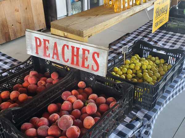 MI Fruit Growers Hopeful Early Buds Not Damaged By March Freeze