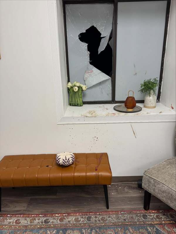 Deer Smashes Through Windows of South Lyon's Bloom Chiropractic