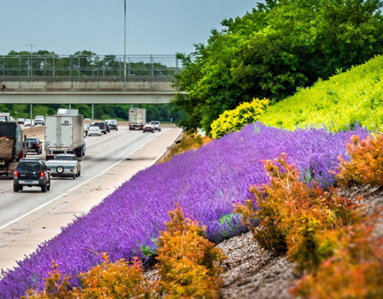 Final Adopt-A-Highway Cleanup of the Year Starts Saturday