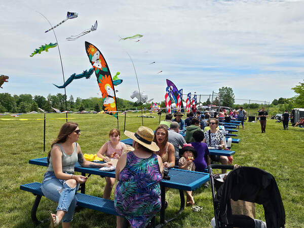 Lyon Twp 17th International Kite Festival This Weekend