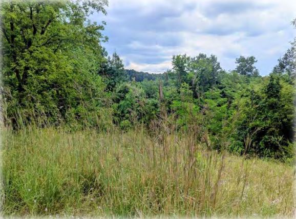 Genoa Township Board Approves Proposal For Park Development Plan