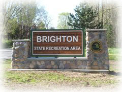 Annual Veterans Appreciation Picnic At Brighton Rec Area