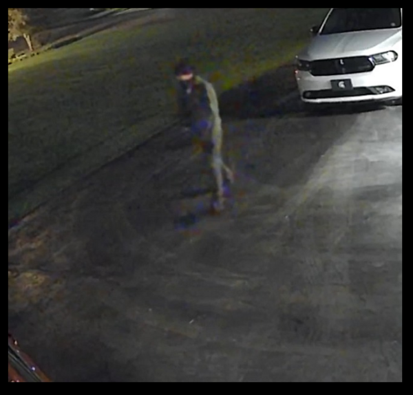 Police Investigate Reports of Vehicle Theft in Green Oak Township