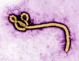 Detroit-Bound Plane Diverted After Passenger from Ebola-Hit Region Boarded 'In Error'