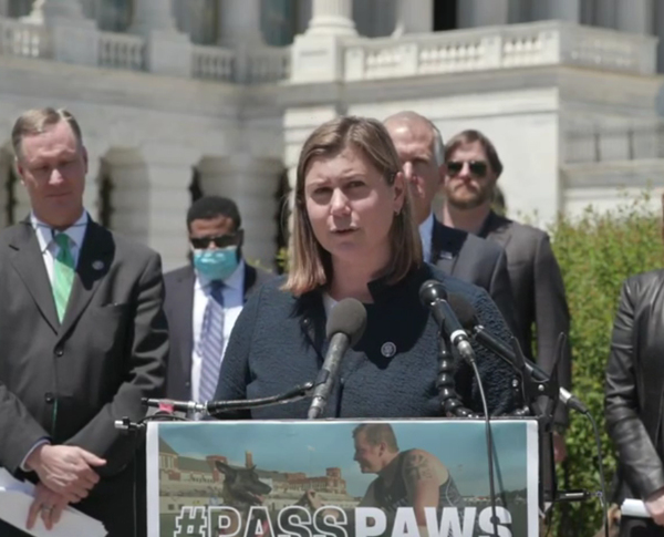 Slotkin Joins Colleagues To Discuss PAWS for Veterans Therapy Act