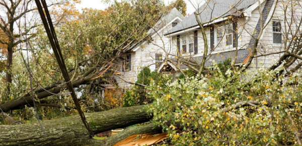 Michigan DIFS Offers Insurance Tips Following Severe Weather