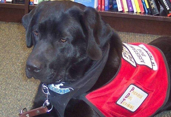 BAS Community Mourns Passing Of Beloved Therapy Dog