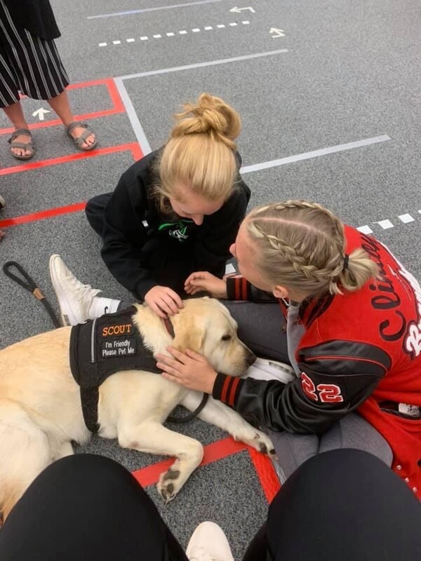 BAS Dogs Provide Therapy Assist To Lenawee County School