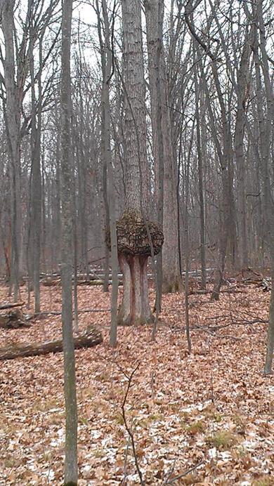 Fillmore County Park Construction Could Start In Spring