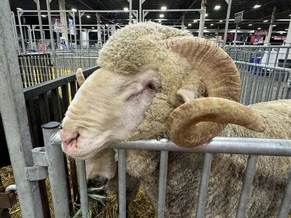 Michigan State Fair Opens in Novi