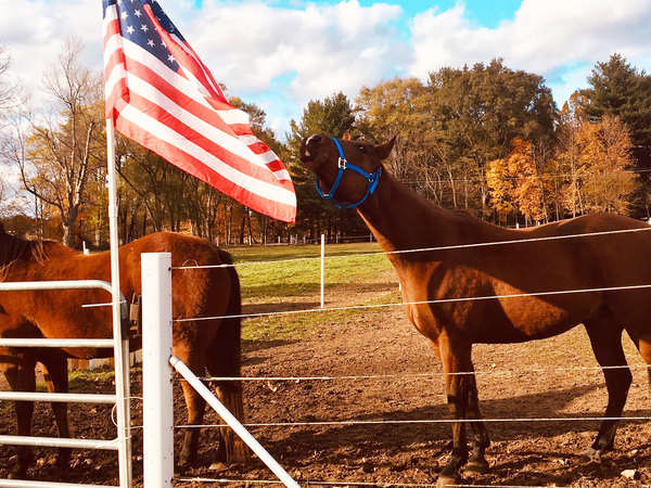 Ceremony Welcomes New Nonprofit Supporting Area Vets