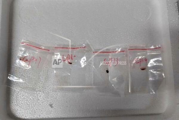 Another Chinese Scientist Charged with Smuggling Biological Material to U of M Lab