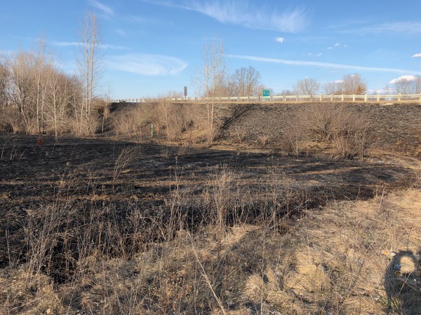 Brush Fire Under Control In Marion Township