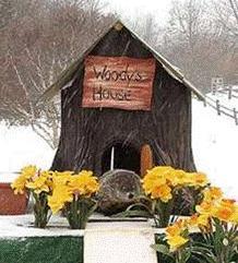 Howell Nature Center Postpones Groundhog Day Event