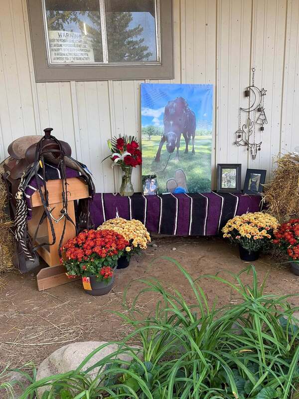 Prosecutor Declines Charges Against Milford Trail Ride Business, Returns Horses