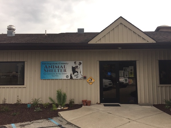 County Animal Shelter Seeking Grant To Expand Dog Room