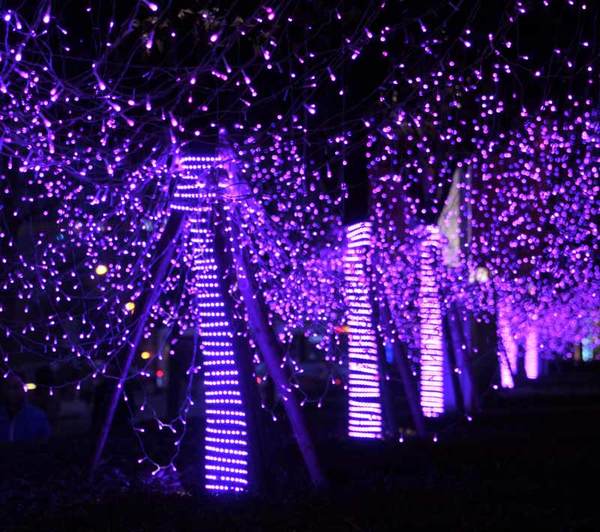 LACASA Raises Domestic Violence Awareness With "Purple Light Nights"