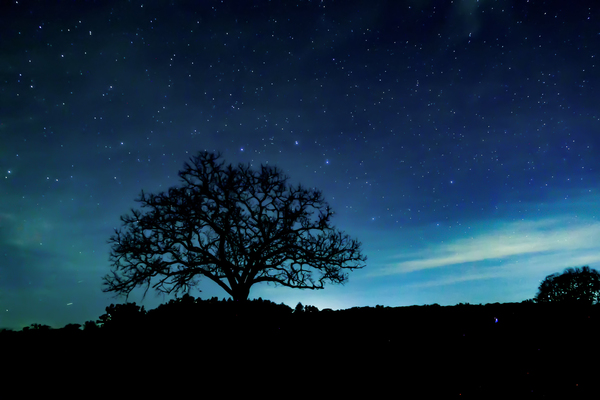 International Dark Sky Week At Lutz County Park