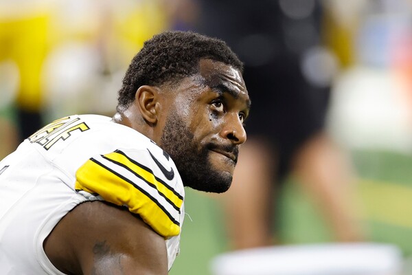 Steelers' Metcalf Won't Face Criminal Charges for Altercation with a Lions Fan from Pinckney