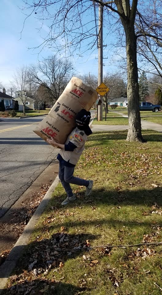 Local Boy Scouts Pitch In For Area Seniors