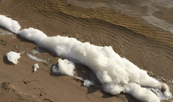Foam on Waterways Could Have Dangerous Bacteria And PFAS