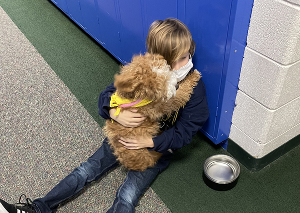 BAS Pack Of Dogs Back In Oxford To Comfort Students