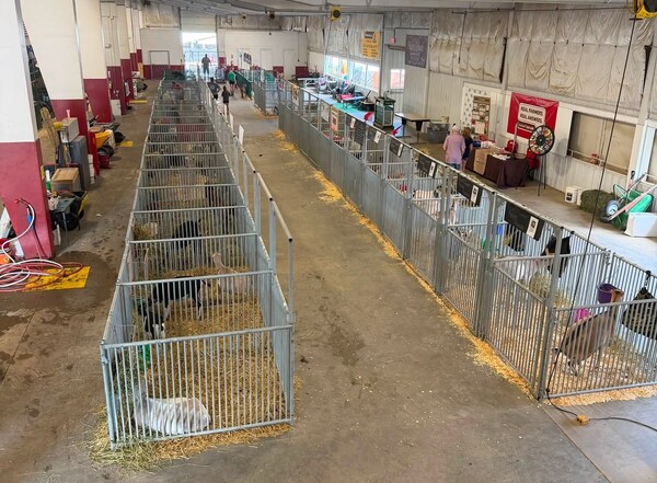 Ingham County Fair Opens with Dollar Day, Salute to Veterans Free Concert