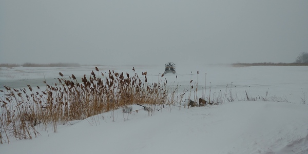 Fowlerville Man Found Dead After Falling Through Ice On Saginaw Bay