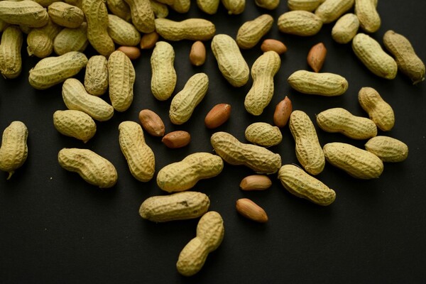 Study: Advice to Feed Babies Peanuts Early and Often Helped Thousands of Kids Avoid Allergies
