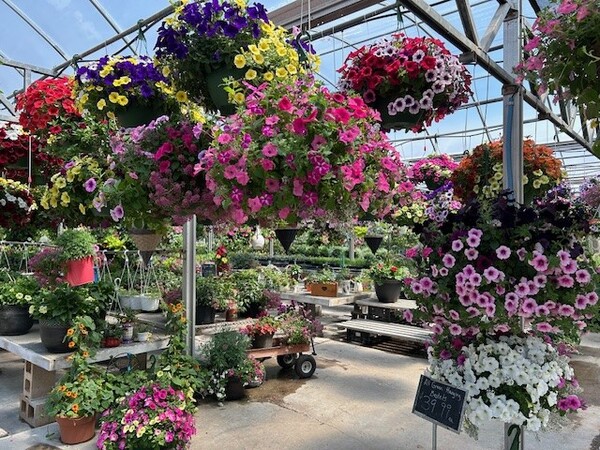 Mother’s Day Spending Expected to Reach $34.1 Billion